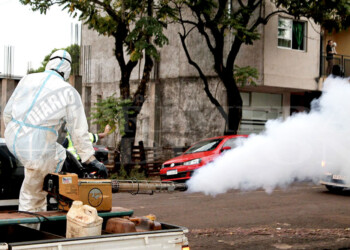Dengue: el número de febriles semanales se mantiene alto y son 55 los internados