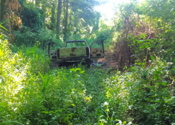 Para juez provincial la desaparición de Peña debe ser investigada por el fuero Federal