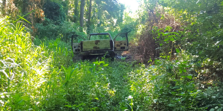 HALLAZGO. La Chevrolet S10 fue descubierta quemada y con un cadáver en su interior, el miércoles 24 de enero entre la vegetación en Wanda.