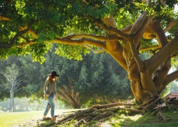 Ecosanación: Contexto de Rehabilitación