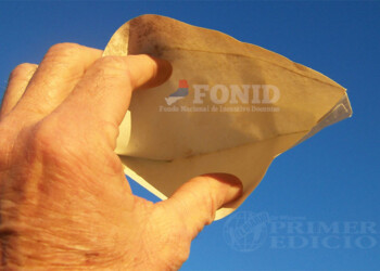 Nación descartó el envío del FONID y otros recursos educativos a las provincias