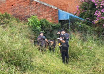 Hallaron el cuerpo de un hombre en un baldío en la Chacra 32-33