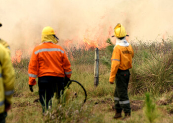 Prohíben todo tipo de quemas en Misiones y refuerzan los controles