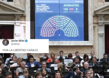 Milei celebró la aprobación en general de la Ley Ómnibus