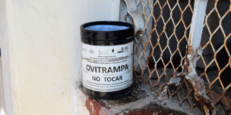 OVITRAMPA. Es un recipiente plástico como soporte para la oviposición.