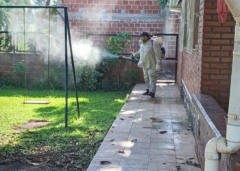 Dengue: refuerzan operativos en la zona norte por la suba de casos