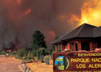 Chubut: el viento aceleró el avance del fuego en Los Alerces y el incendio continúa incontrolable