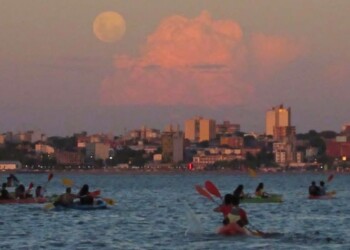 Día de los Enamorados: una propuesta única para disfrutar del río Paraná bajo la luna en Posadas