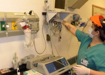 Salarios en Salud: “Pudimos levantar un poco la propuesta inicial del Gobierno”