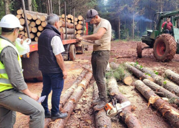 Casi 100 casos de explotación laboral o trabajo infantil fueron detectados en 2023