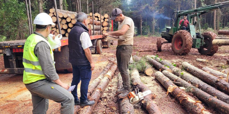 EN LAS CHACRAS. El organismo realizó controles en los principales rubros.