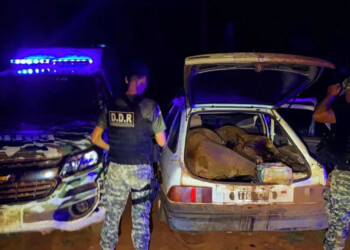 Cayó cabecilla de una banda dedicada al robo de ganado en el norte misionero