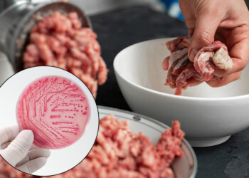 Alimentos: cuáles son los “malos hábitos” que nos pueden llevar al Síndrome Urémico Hemolítico