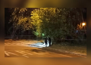 Siniestro fatal se cobró la vida de dos menores en Candelaria