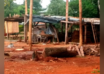 Con la justificación de “brindar trabajo y comida” cooperativa intrusó un terreno