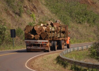 Suma irregularidades el escándalo por apeo en reserva misionera