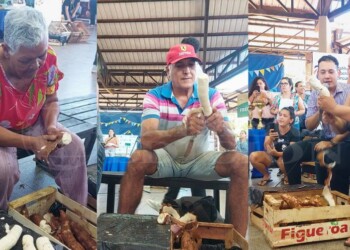 Primer concurso de pelado de mandioca en Posadas: mirá las mejores fotos