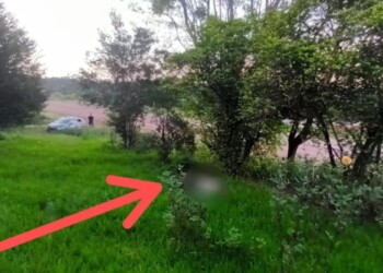 En San Vicente hallaron el cuerpo de un hombre en estado de descomposición