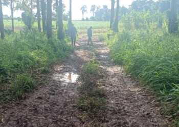 Detenidos por atacar a los Goncalves negaron el hecho y fueron imputados