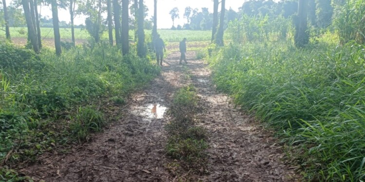 PARAJE CABUREÍ. Entre eucaliptus fueron halladas las víctimas de las perdigonadas en Andresito.