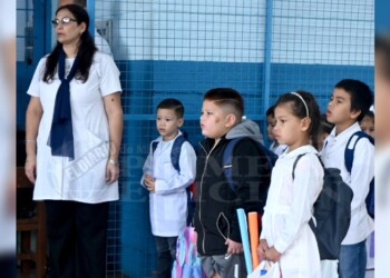 El 20% de las licencias cortas en Educación son a causa del dengue