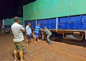 Secuestraron en San Vicente 87 toneladas de granos de soja