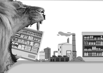 Emergencia comercial y despidos: no fue el puente a Encarnación sino Argentina