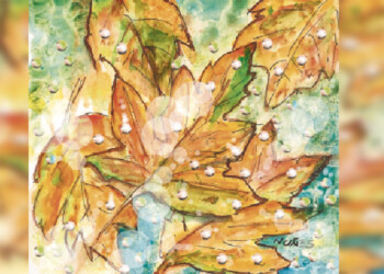 Escritores de Misiones: “Humedad”, parte II