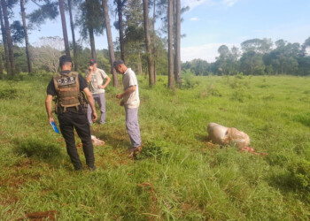 Sociedades rurales se pronuncian por la escalada de delitos en chacras de la zona