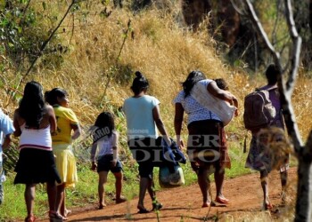 Tres de cada diez indígenas del país ya no hablan la lengua de su pueblo