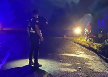 Los Helechos: lesiones en un hombre y una joven, tras colisionar con un perro en la ruta Provincial 5