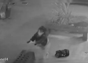 Video: una policía mató a un ladrón que le robó el celular cuando esperaba el colectivo