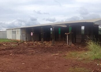 San Vicente: pasó de aserradero pionero en los años 90 a ser parte del cementerio