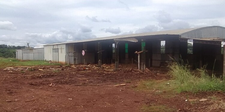 DESPEDIDA. El primer aserradero asentado en el Parque Industrial de San Vicente finalmente se despidió del espacio que ocupó por más de treinta años, luego de numerosos desencuentros entre la propietaria y las diferentes gestiones muncipales.