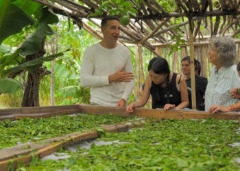 Invitan a descubrir “el mundo del té” en el museo Juan Yaparí de Posadas