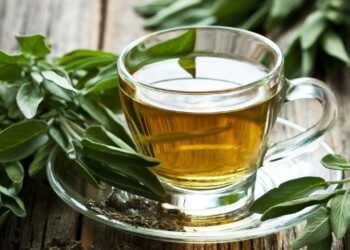 El té de salvia, el remedio natural para la salud mental: propiedades y cómo prepararlo