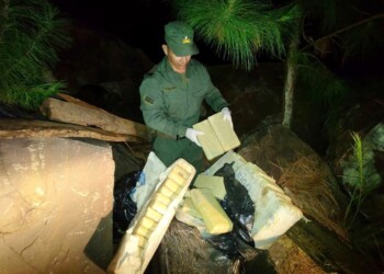 Operativo “Mary Frozen”: incautan más de 100 kilos de droga puesta a “enfriar” en el monte misionero