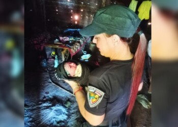 El Soberbio: efectivos policiales y una enfermera oficiaron de parteros en una aldea mbya