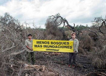 Greenpeace alerta: “El ambiente no se negocia”