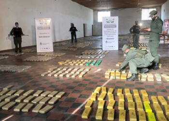 A juicio tres sospechosos descubiertos por el perro “Tedy”