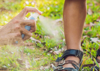 Dengue: en qué parte del cuerpo hay que ponerse el repelente para evitar la picadura del mosquito, según un especialista