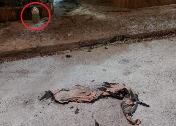 Montecarlo: un hombre se habría prendido fuego en la vía pública y murió por las quemaduras