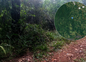 Un joven murió y su padre está grave tras ser atacados a tiros