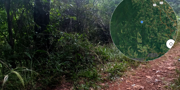 LUGAR DEL HECHO. El cuerpo calcinado fue hallado en una zona rural, a 20 kilómetros de Bernardo de Irigoyen.