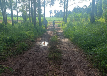 Un joven murió y su padre está grave tras ser atacados a tiros