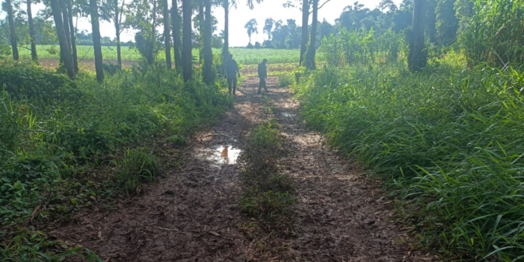 PESQUISA. Efectivos de la comisaría de Andresito en el lugar donde fueron encontrados el padre herido y su hijo.