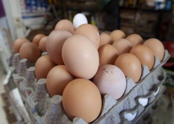 Escalada sin pausa del precio del huevo