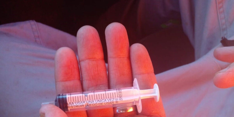 EMPATÍA. Desde la comuna pidieron al vecino del barrio Bernín que desechó la jeringa con la aguja que dé a conocer qué producto contenía.