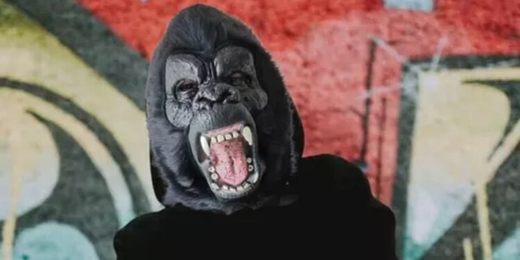 (Imagen ilustrativa)