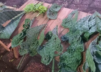 Apóstoles: creatividad artesana para trenzar palmas en la previa de Domingo de Ramos